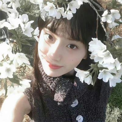 兰基先生的罪行 封面